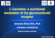 L-Carnitine: a nutritional modulator of the glucocorticoid