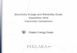Electricity Outage and Reliability Study September 2010