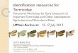 Identification resources for Tortricidae - CAPS Resource and