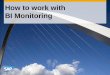 How to work with BI Monitoring