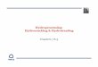 Hydroprocessing : Hydrocracking & Hydrotreating - Astra Energy