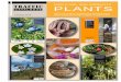 TRAFFIC Medicinal and Aromatic Plants publications catalogue (pdf