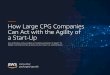 How Large CPG Companies Can Act with the Agility of a Startup