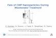 Fate of CMP Nanoparticles During Wastewater Treatment