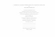 Thesis-Chemical characterization of camelina seed oil