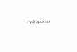 Hydroponics - GC11