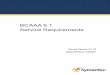 BCAAA6.1 Service Requirements