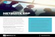 NETSUITE ERP - Full Speed Systems