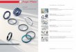 APSOseal Hydraulic and Pneumatic Seals - Angst+Pfister