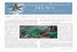 mbc and usda study rare cycads of jamaica