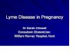 Lyme Disease in Pregnancy - Lyme Disease Action