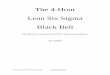 The 4-Hour Lean Six Sigma Black Belt - QI Macros