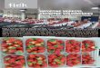 ImportIng Workers, exportIng strAWberrIes - FIDH