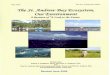 The Ecosystem Management Plan - The Friends of St. Andrew Bay