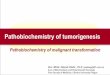 pathobiochemistry of malignant transformation