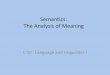 Semantics: The Analysis of Meaning - Home Pages of [email protected]
