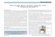 The peak flow meter and its use in clinical practice - African Journal