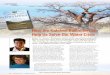 How the Kalahari Bushmen Can Help Us Solve Our Water Crisis