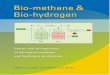 Bio-methane & Bio-hydrogen - Gasunie