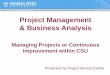 Project Management & Business Analysis