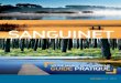 Guide 2012 Web.pdf - sanguinet