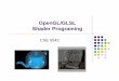 OpenGL/GLSL shader programs