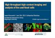 High throughput highcontent imaging and analysis of live and
