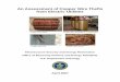 An Assessment of Copper Wire Thefts from Electric Utilities - U.S