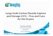 Dixon CCS Pros and Cons for Oceans 10 Nov v2 - IEAGHG