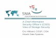 Security Professional View - SNIA