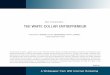 The White Collar Entrepreneur - WSI