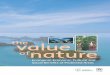 The Value of Nature: Ecological, Economic, Cultural and Social