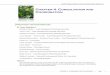 NFS Land Management Planning - USDA Forest Service
