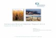 Advanced Biofuel Market Report 2013 - Environmental Entrepreneurs