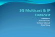 3G Multicast & IP Datacast