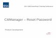 CitiManager Reset Password