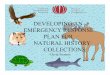 developing an emergency response plan for natural history collections