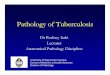 Dr Rodney Itaki Lecturer Anatomical Pathology Discipline