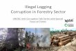 Illegal Logging Corruption in Forestry Sector - United Nations Office