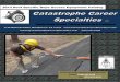 2013 Roof Specific Rope Access Equipment Catalog