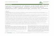 Causal assessment of dietary acid load and bone disease: a