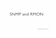 SNMP and RMON - LUSY