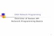 Overview of Socket API Network Programming Basics