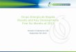 Grupo Energa de Bogot Results and Key Developments