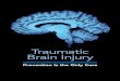 Traumatic Brain Injury - New York State Department of Health