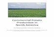 Commercial Production in North America - Potato Association