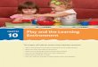 Play and the Learning Environment