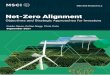 Net-Zero Alignment