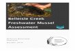Belleisle Creek Freshwater Mussel Assessment