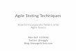 Agile Testing Techniques -
